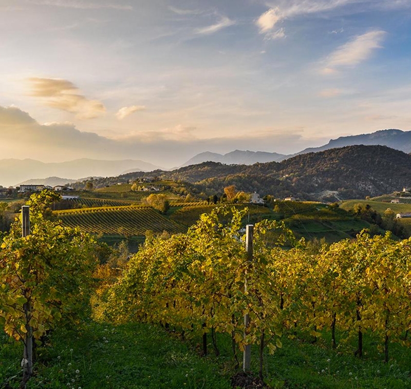 Visitare Valdobbiadene e Asolo - B&B Casa Martini